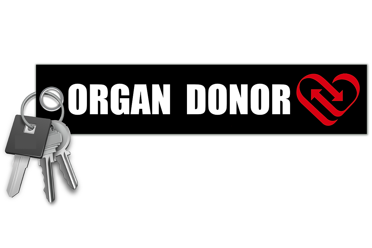 PIN HOLDER - ORGAN DONOR